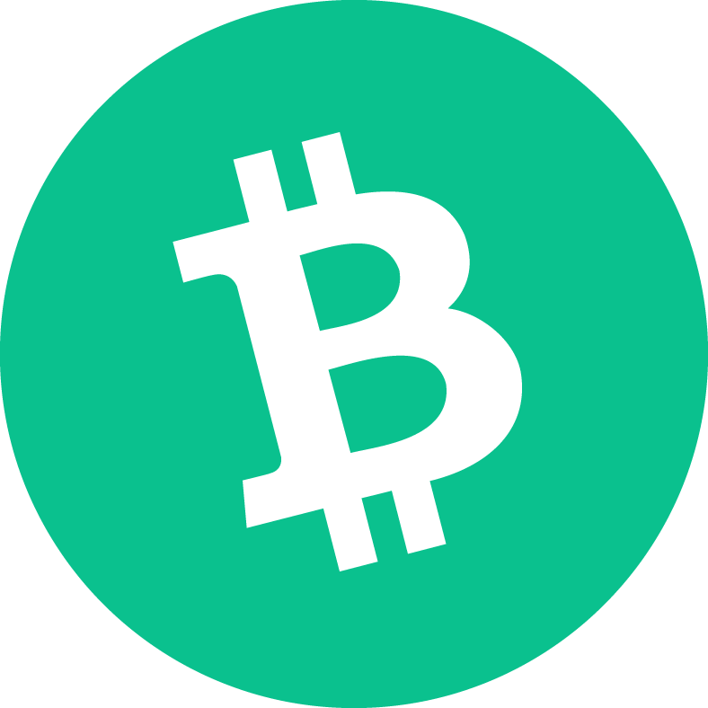 Bitcoin Cash Casino Icon